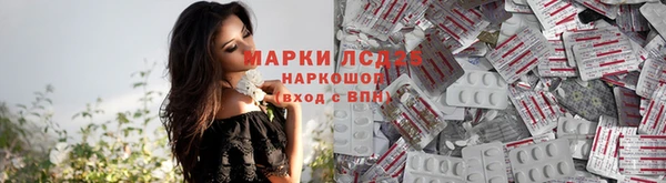 винт Арсеньев