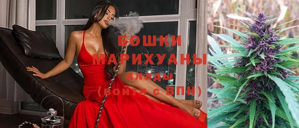 молекула духа Аркадак