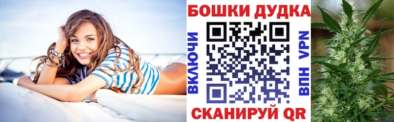Купить где  Кольчугино  Бошки марихуана сатива 